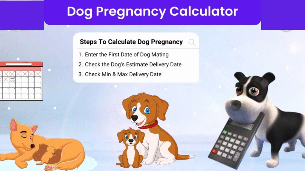 Dog Pregnancy Calculator