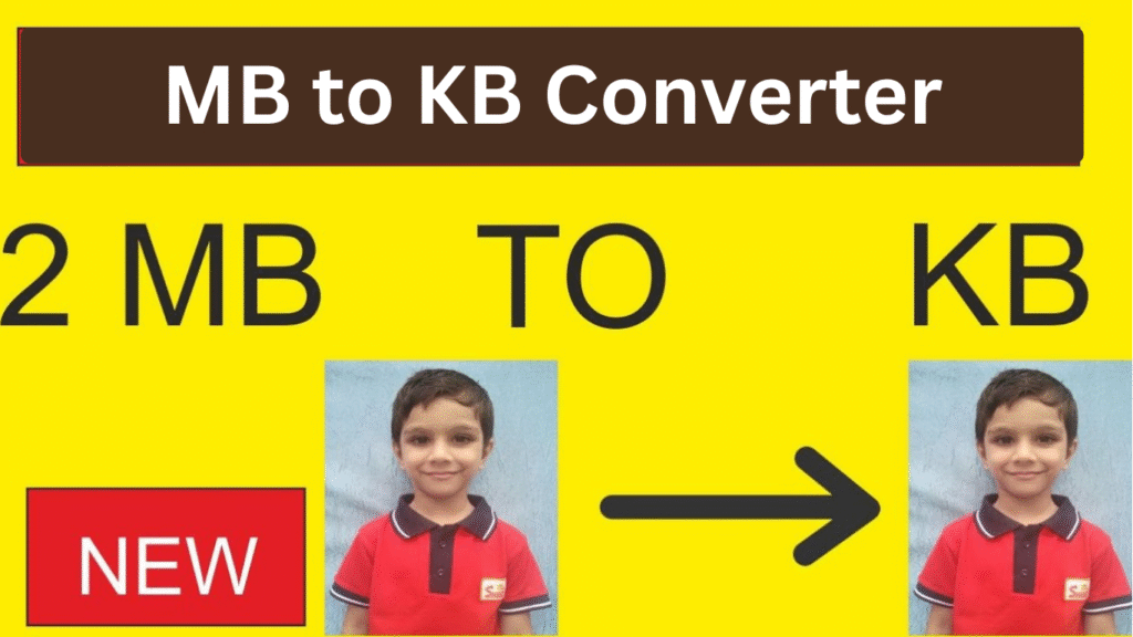 MB to KB Converter