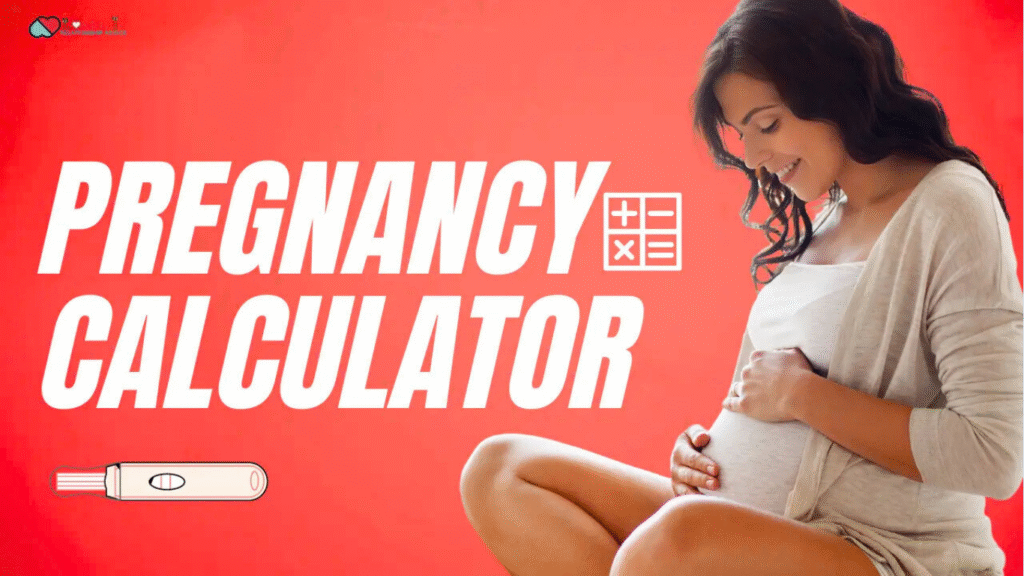 Pregnancy Calculator