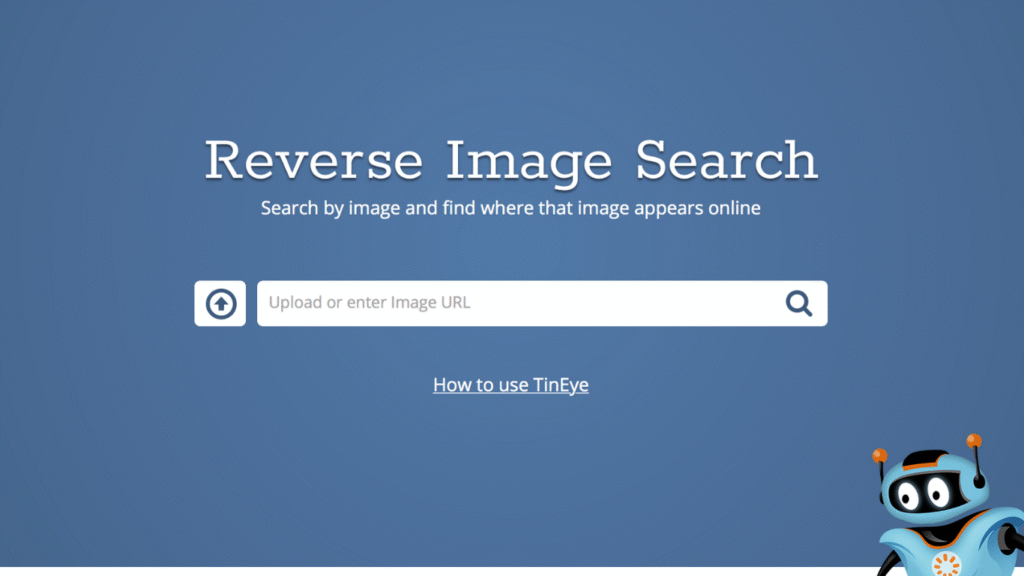 Reverse Image Search